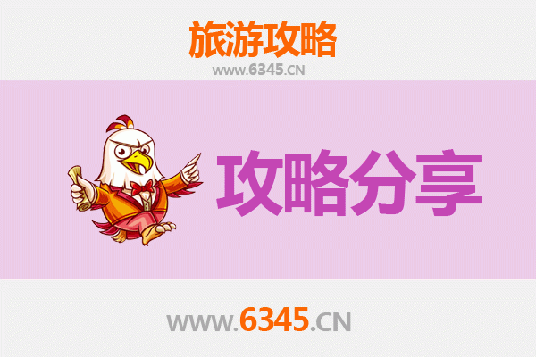 南阳新野出发湄洲岛旅游攻略：跟团 vs 自由行全解析